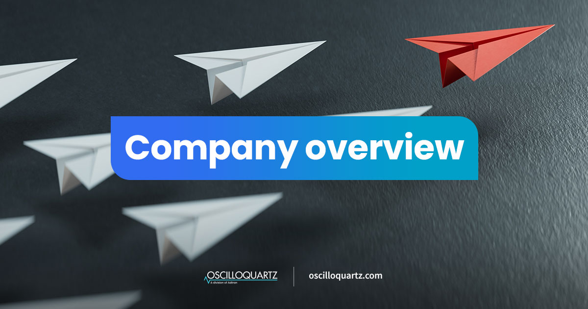 Company overview