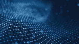 Optical net